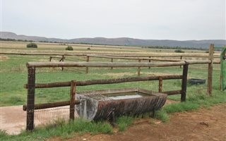 650 ha Farm in Rankins Pass