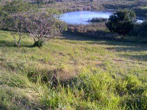 842 m² Land available in Shelly Beach