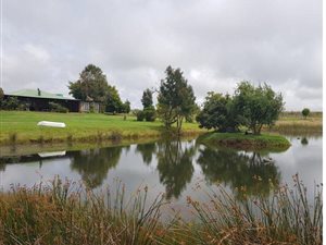 Game Farm in Dullstroom