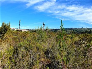 855 m² Land available in Baron View