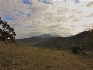 4.2 ha Land available in Robertson