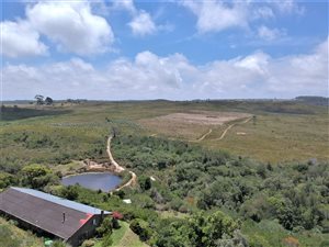 19.5 ha Farm in Robberg
