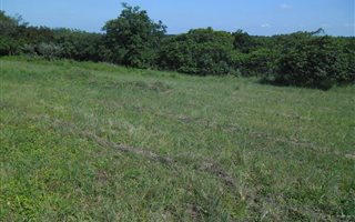 1008 m² Land available in Cotswold Downs Estate