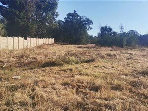 1000 m² Land available in Ohenimuri