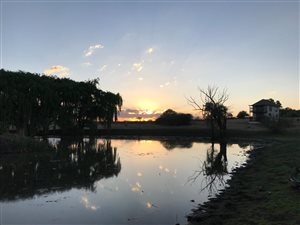 33 ha Farm in Magaliesburg