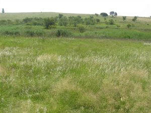 5 ha Land available in Mooiplaats AH