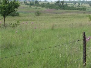 5 ha Land available in Mooiplaats AH