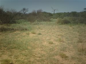 3145 ha Farm in Kuruman