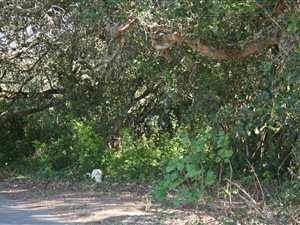 422 m² Land available in Gamtoos Mouth