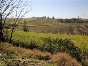 8.3 ha Farm in Shakas Rock