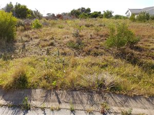 600 m² Land available in Jeffreys Bay