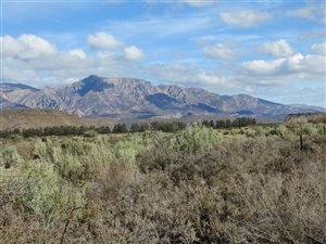 23 ha Farm in Barrydale