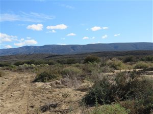 23 ha Farm in Barrydale