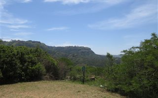 3159 m² Land available in Drummond