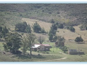 285 ha Farm in Joubertina