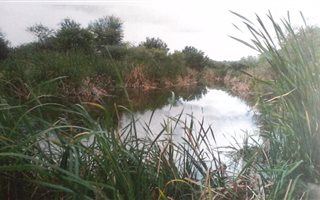 5 ha Farm in Marapong
