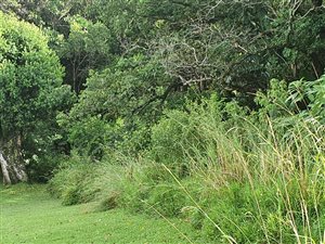 1329 m² Land available in Leisure Bay
