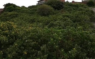 1003 m² Land available in Beachview