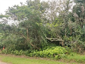 572 m² Land available in Princes Grant Golf Estate