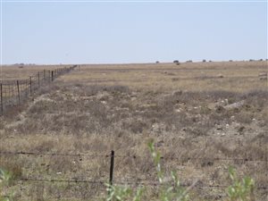 1279 ha Farm in Boshof