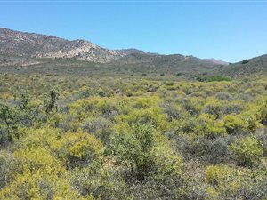 2200 ha Farm in Matjiesfontein