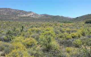 2200 ha Farm in Matjiesfontein