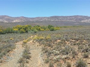 2200 ha Farm in Matjiesfontein