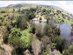 17 ha Farm in Heidelberg Central