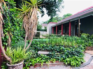 8 Bed House in Top Town