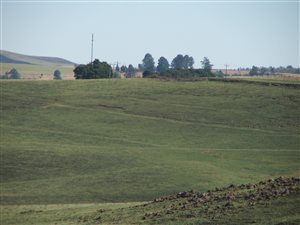 233 ha Farm in Mooi River