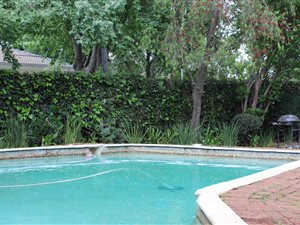 4 Bed House in Parkview