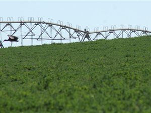 193 ha Farm in Upington