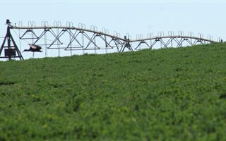 193 ha Farm in Upington