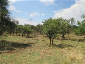1 ha Land available in Leeuwfontein Estate