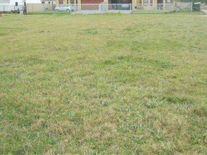 735 m² Land available in Dormehlsdrift