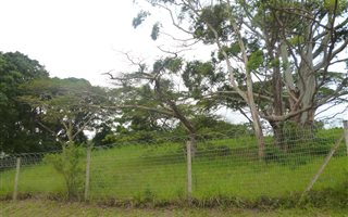 849 m² Land available in Mount Vernon