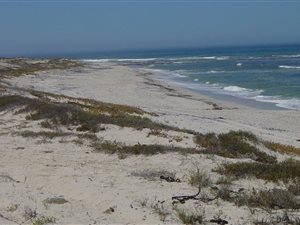 8 ha Farm in Lamberts Bay
