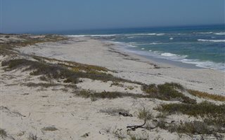8 ha Farm in Lamberts Bay