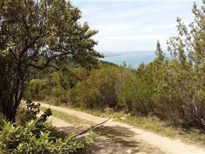 709 m² Land available in Ballots Bay