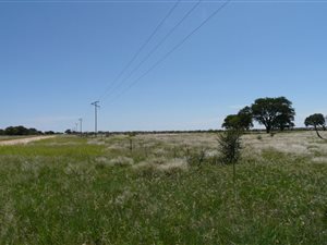864 ha Farm in Piet Plessis