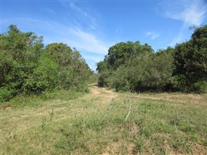 1095 m² Land available in Bathurst and Surrounds
