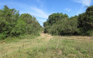 1095 m² Land available in Bathurst and Surrounds
