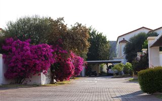 2 Bedroom Apartment in Windsor West