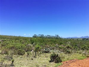300 m² Land available in Gondwana Game Reserve