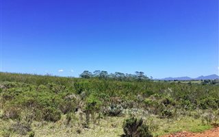 300 m² Land available in Gondwana Game Reserve