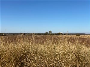 17 ha Farm in Groot Marico