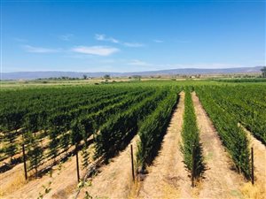 5 ha Farm in Calitzdorp