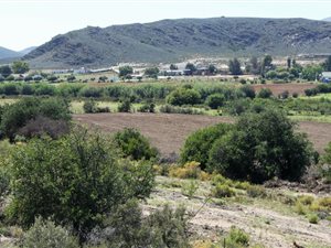 5 ha Farm in Uniondale