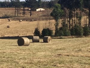 7.6 ha Farm in Howick