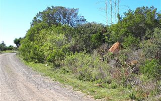 894 m² Land available in Riversbend